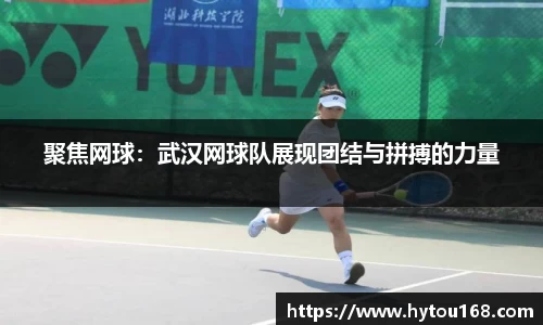华体会hth体育平台